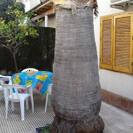 Apartamento La casa de la Palmera Torrevieja Exterior foto
